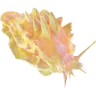 Yellow Power Slug