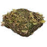 Biomass