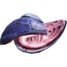 Hatcher Remains