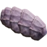 Hog Remains