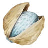 Beryl Nut