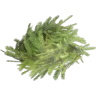 FICSMAS Tree Branch